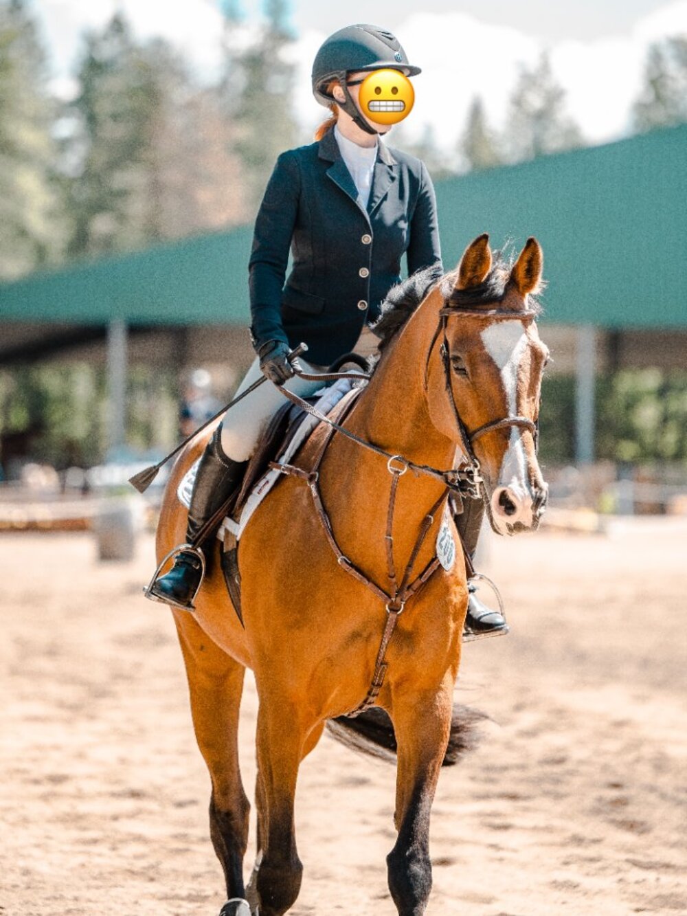 CWD Sport Color raised adjustable bridge breastplate - Picture 2 of 8